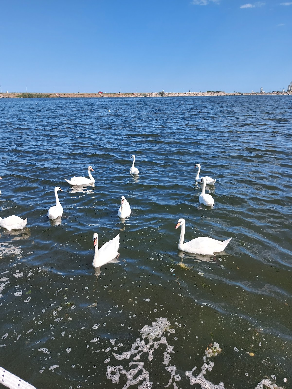 Mangalia Beach - foto 3