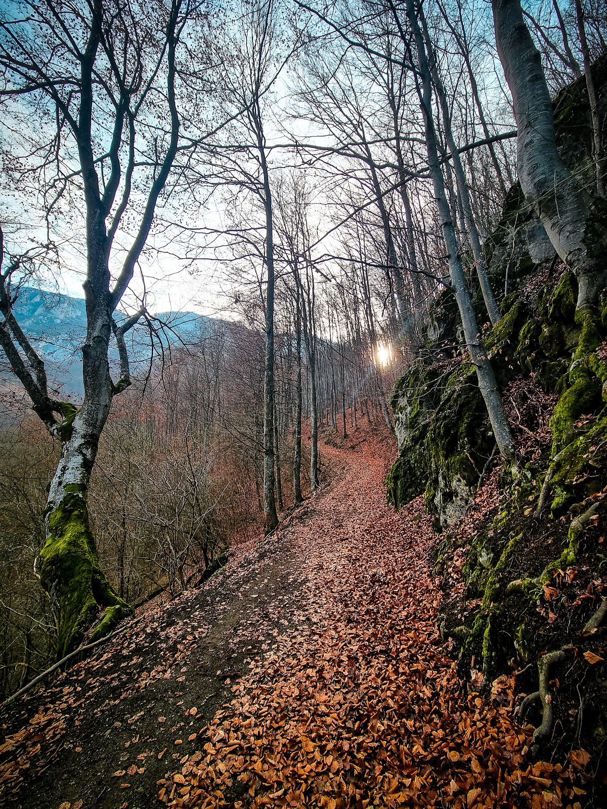 Masivul Bedeleu - foto 4