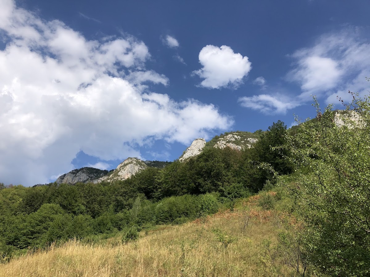 Masivul Bedeleu - foto 5