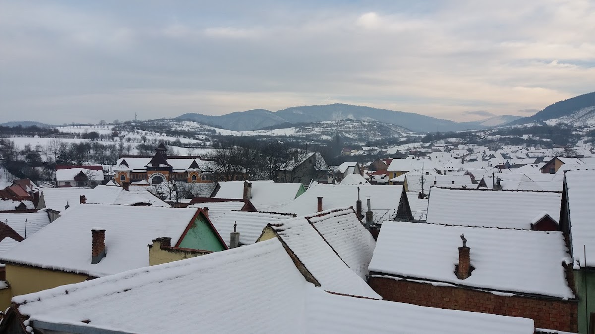 Mausoleu Andrei Șaguna Rășinari - foto 4