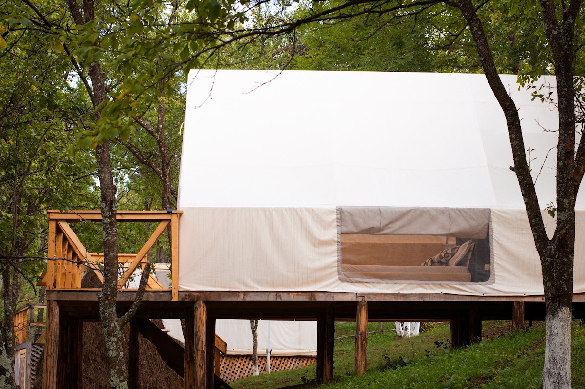 Mesteceni Glamping
