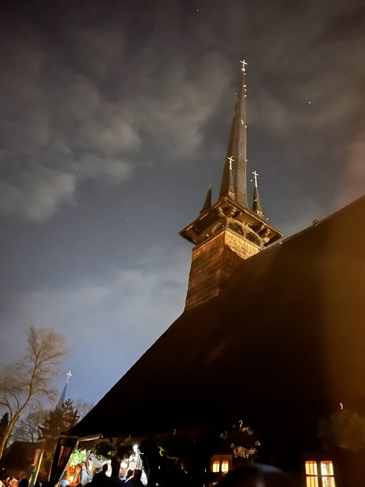Metocul Băile Felix - foto 4