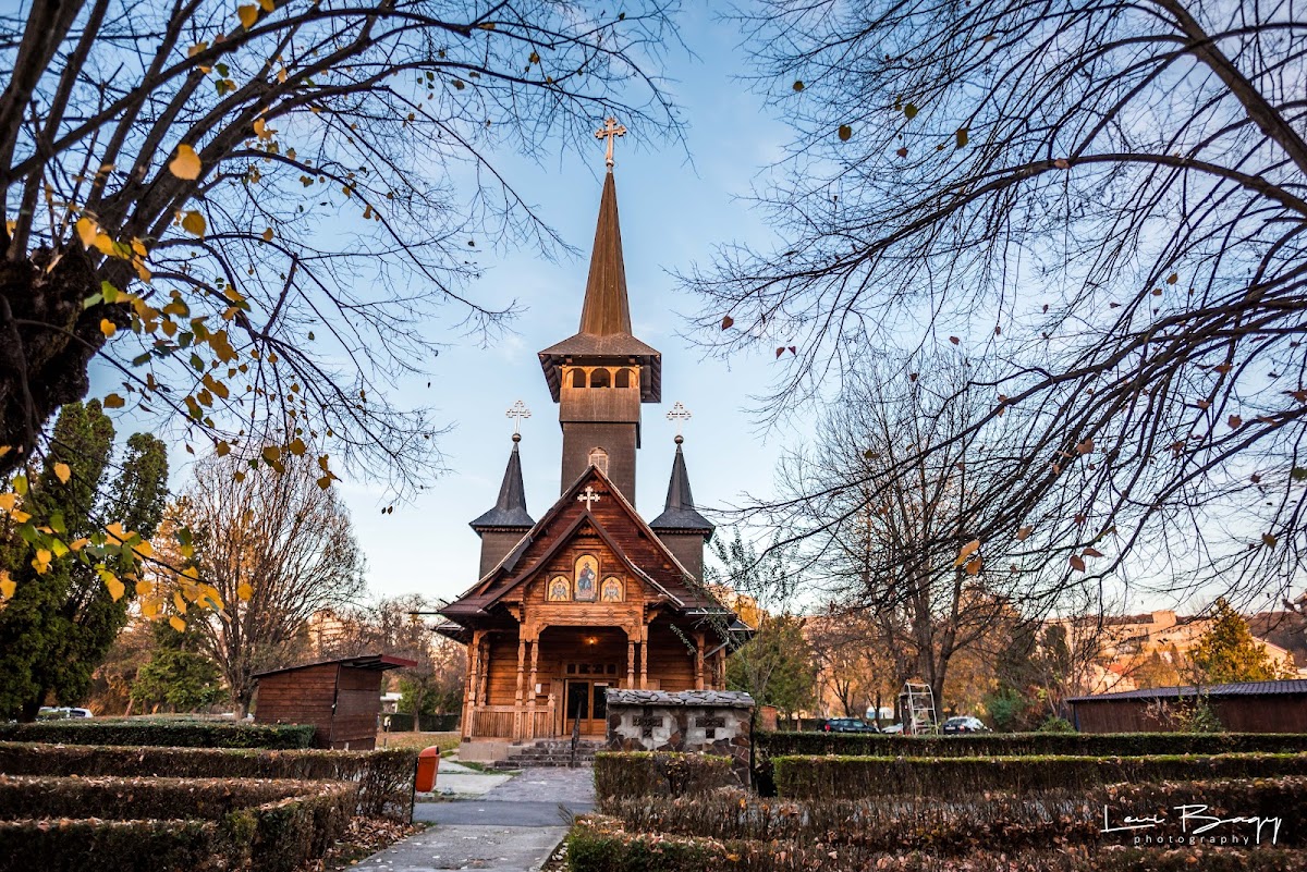 Metocul Băile Felix - foto 5