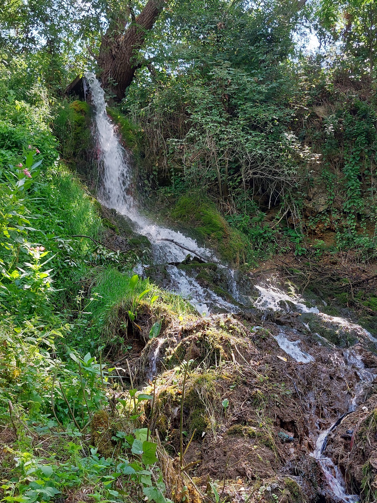 Microcañón de Basalto de Hoghiz - foto 2