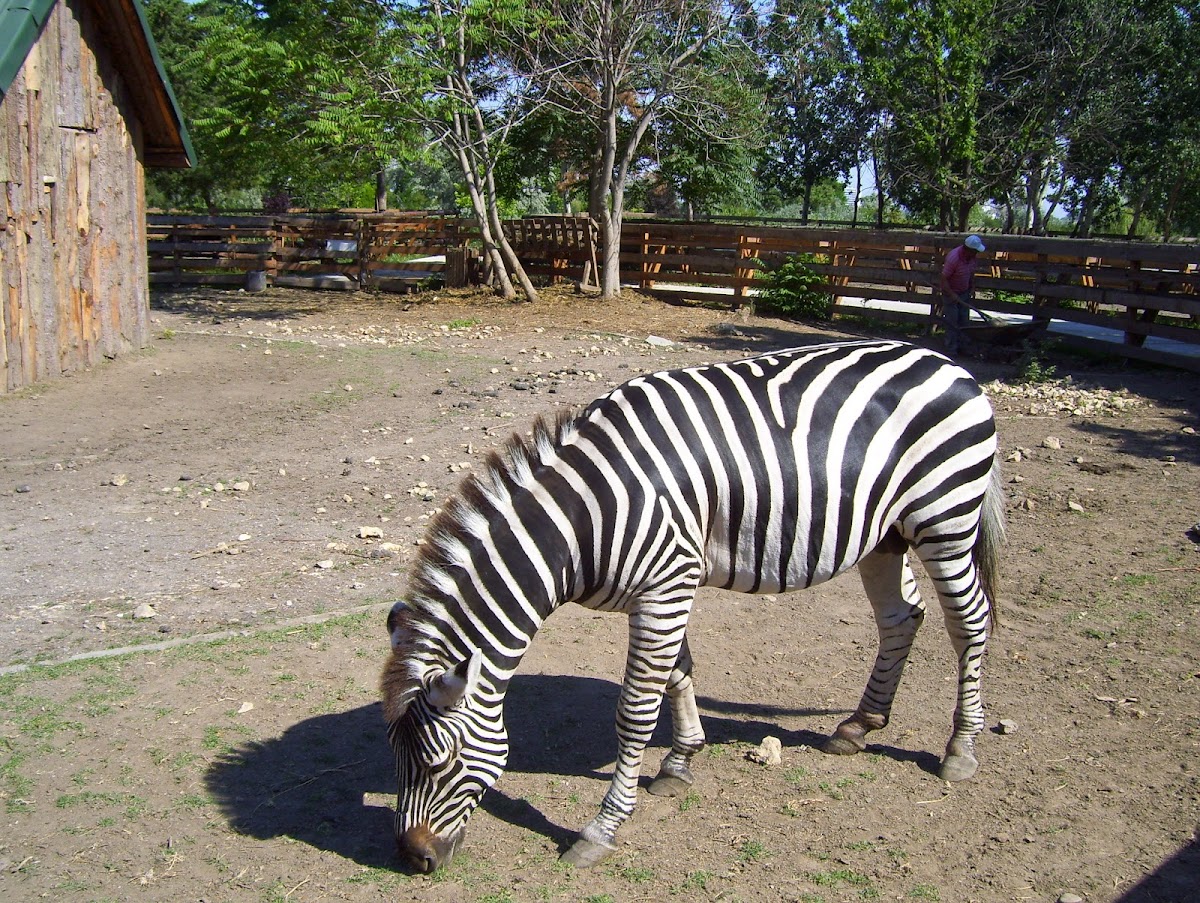 Microrezervátum Constanța - foto 2