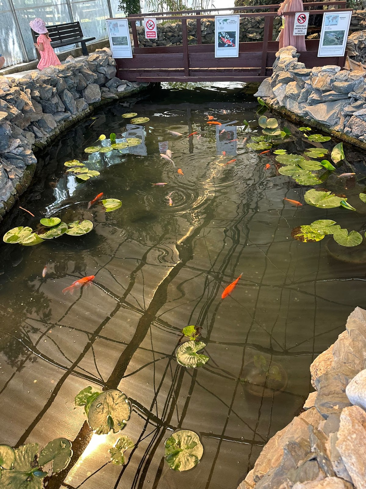 Microrezervátum Constanța - foto 3