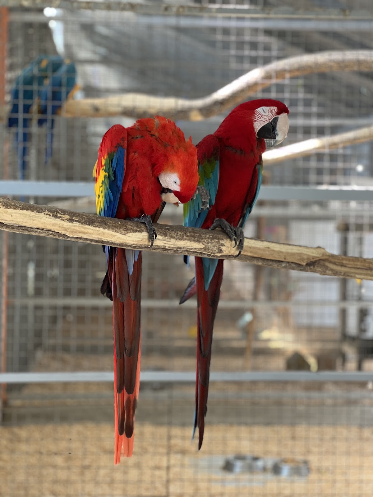 Microrezervátum Constanța - foto 5