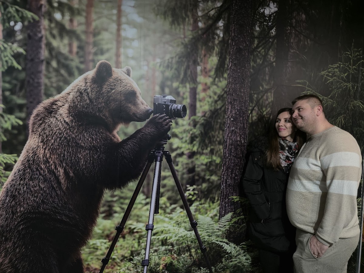 MiM - Muzeul Imaginației Maramureș - foto 2