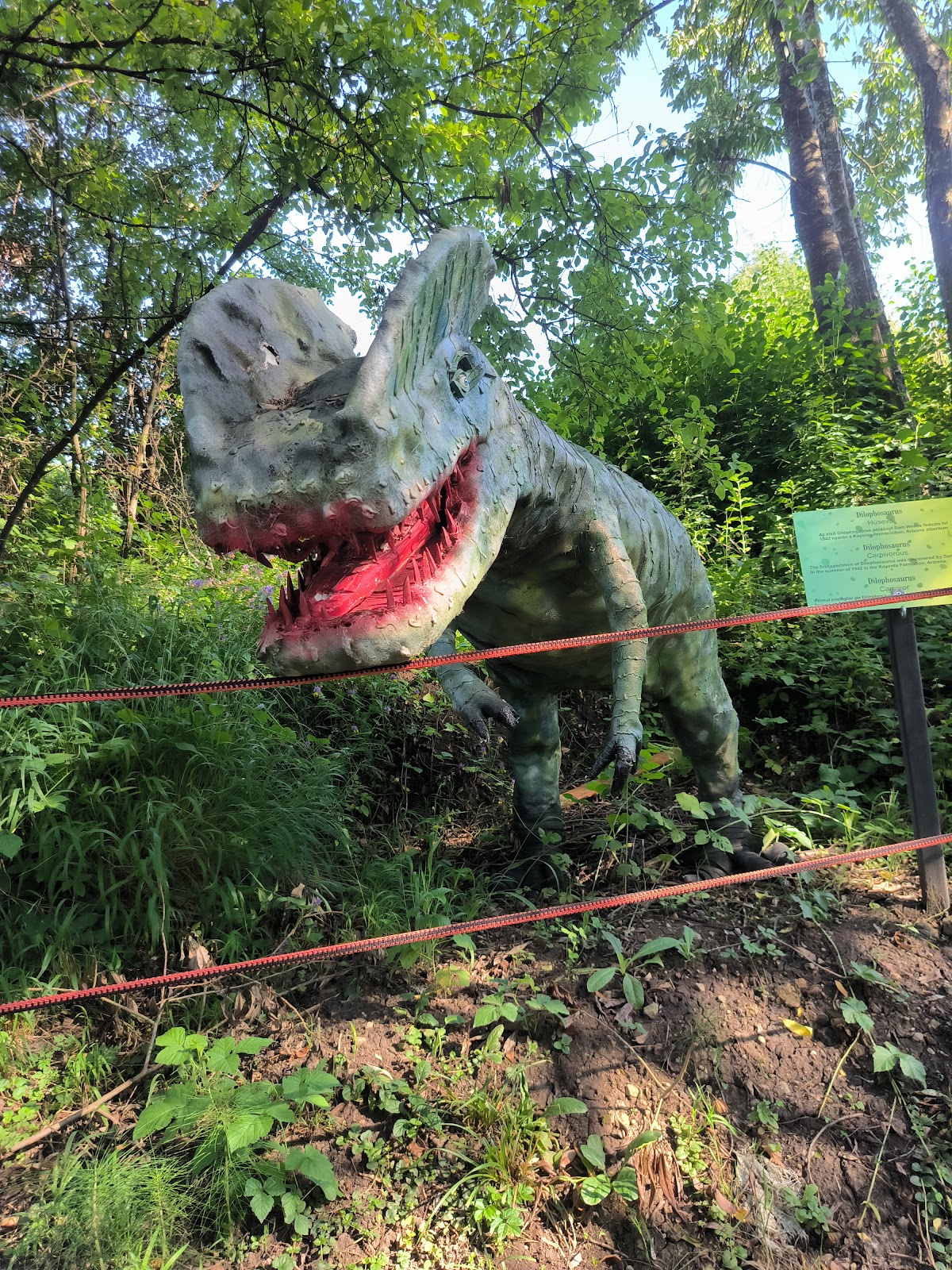Mini Dino Park y Ponis - foto 5