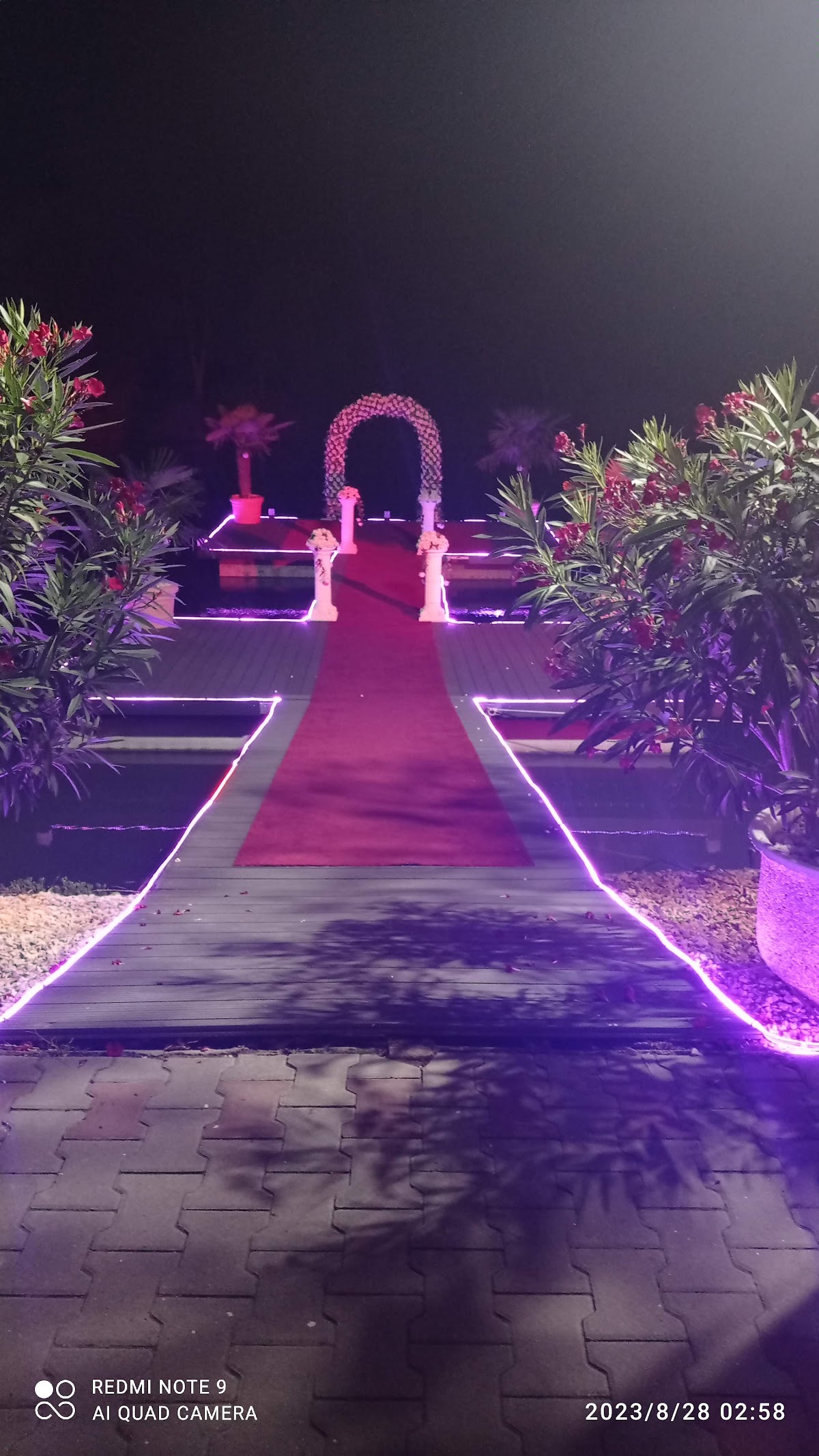 Mirtanis Events, Barcea