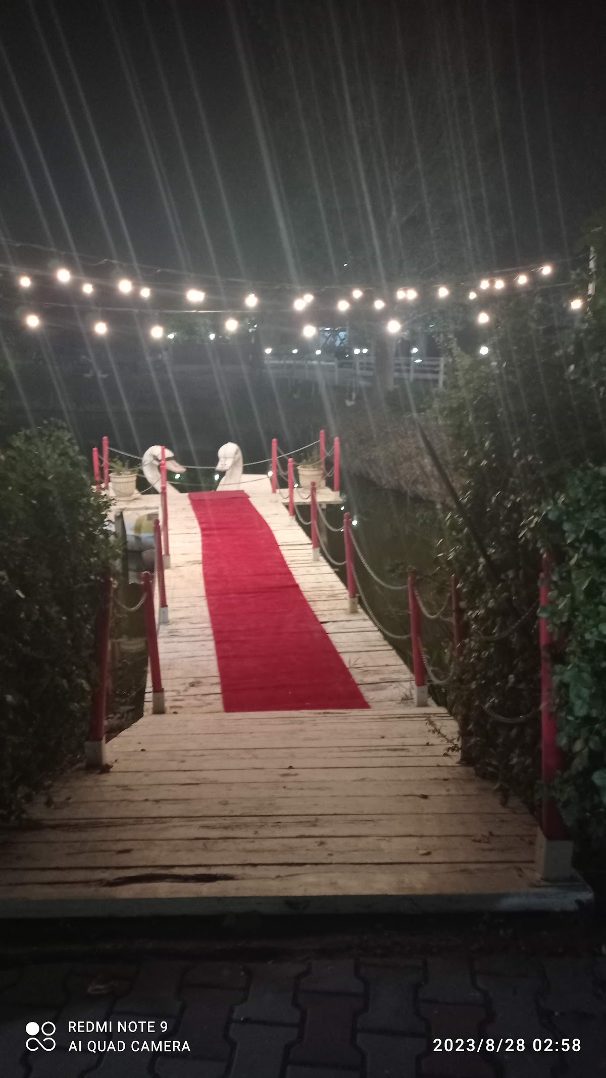 Mirtanis Events - foto 4