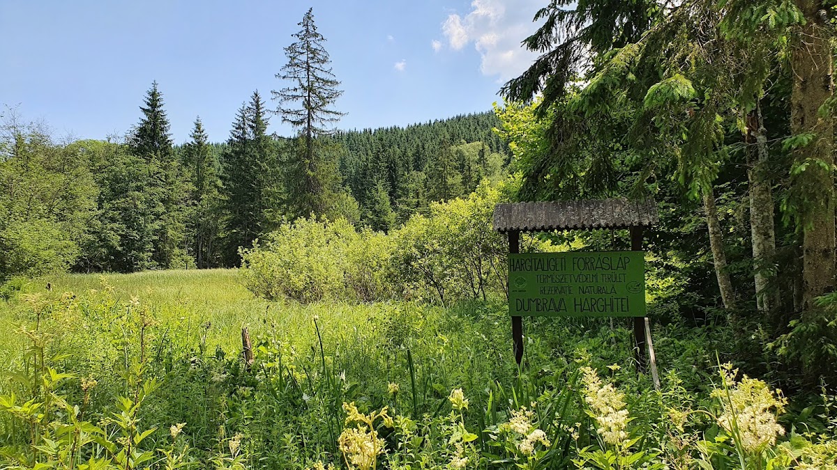 Mlaştina Dumbrava Harghitei - foto 1