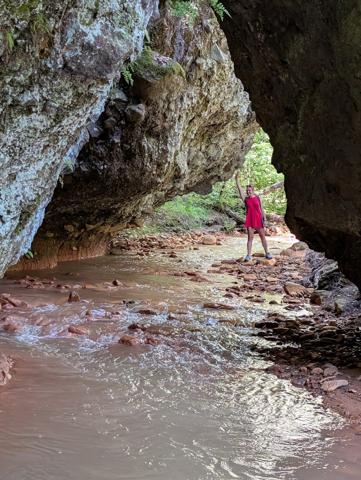 Mlaştina Dumbrava Harghitei - foto 3