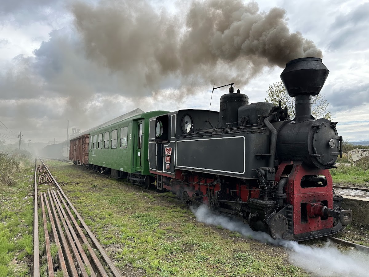 Mocănița de pe Valea Hârtibaciului - gara Hosman - foto 1