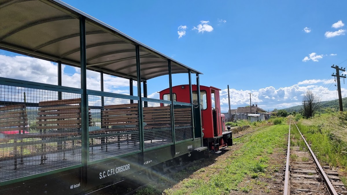 Mocănița de pe Valea Hârtibaciului - gara Hosman - foto 3