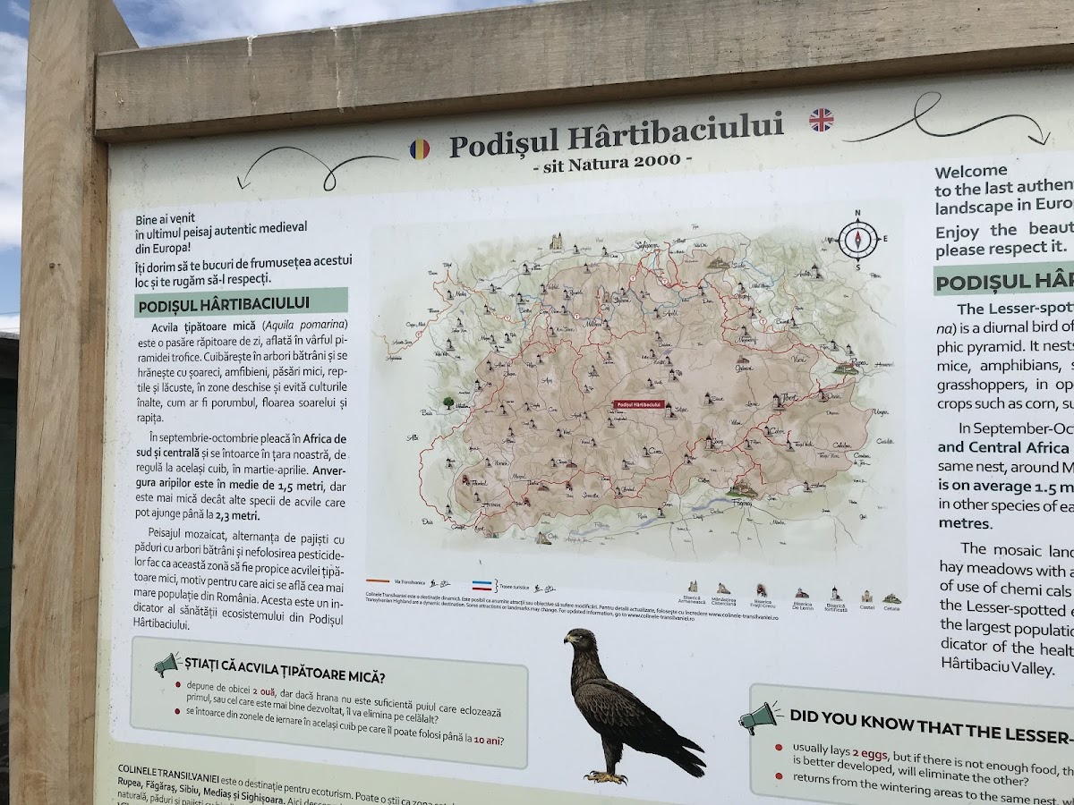 Mocănița de pe Valea Hârtibaciului - gara Hosman - foto 4