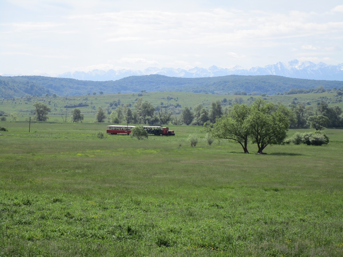 Mocănița de pe Valea Hârtibaciului - gara Hosman - foto 5