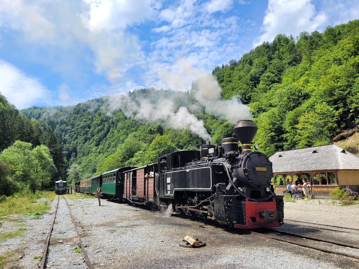 Mocănița Maramureș - foto 2