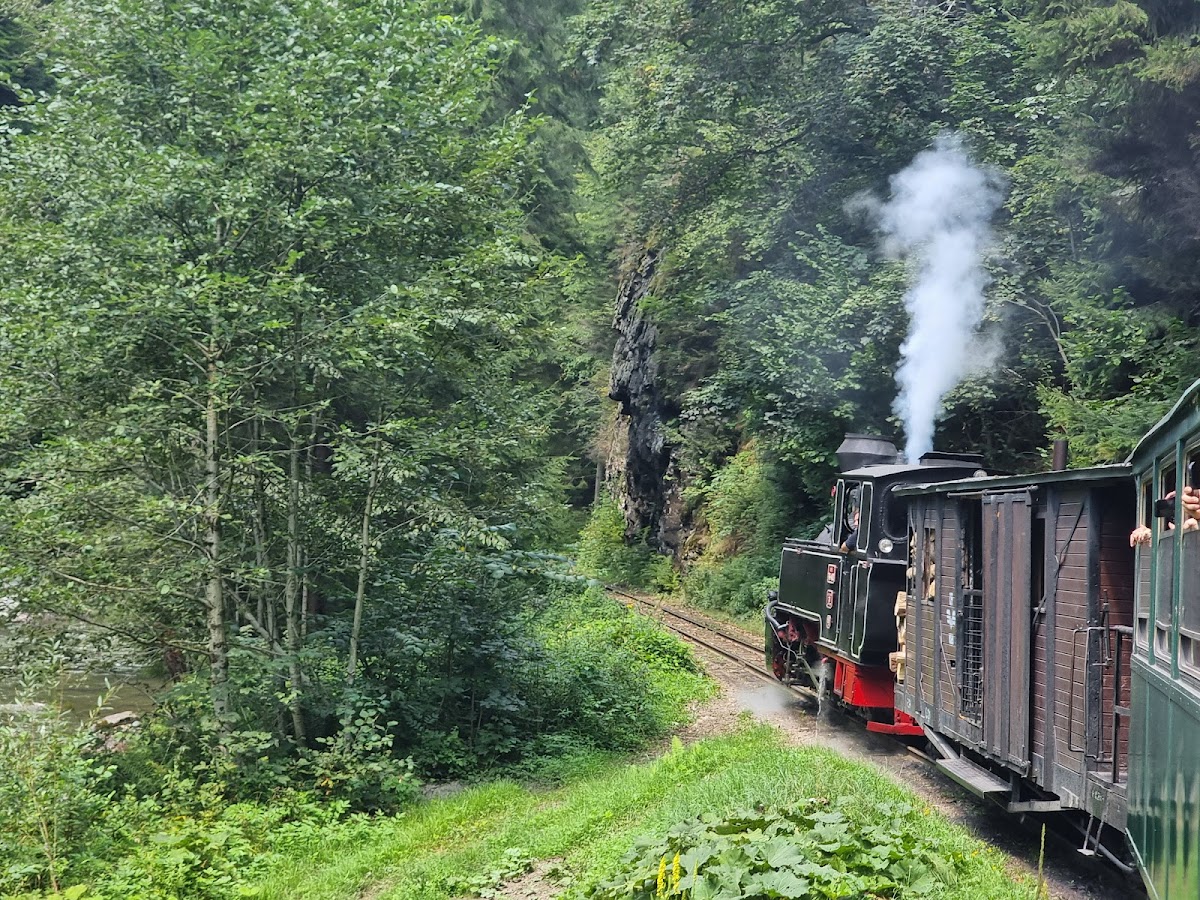 Mocănița Maramureș - foto 3