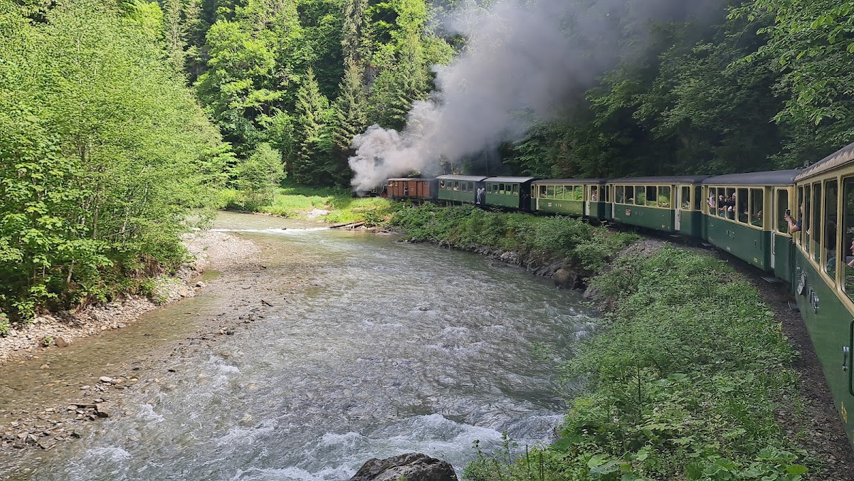 Mocănița Maramureș - foto 4