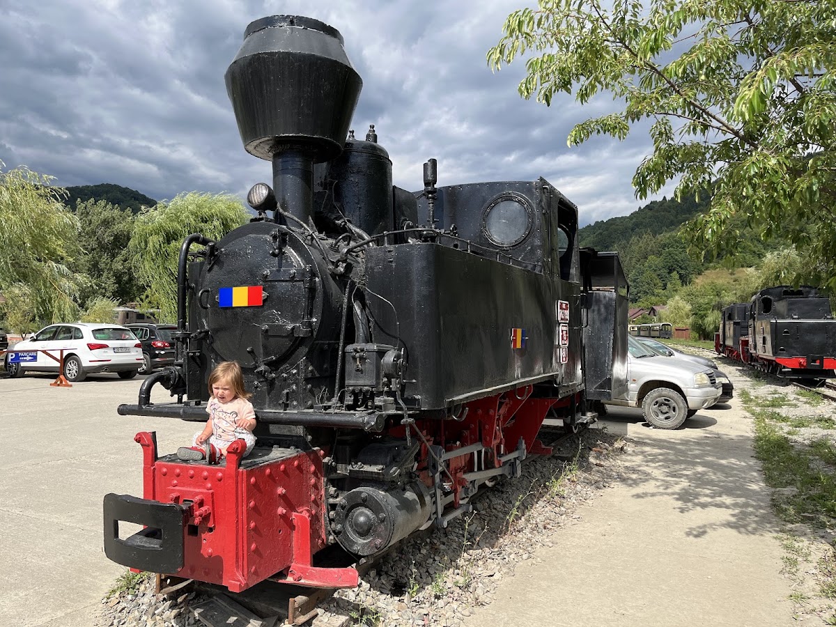 Mocănița Maramureș - foto 5