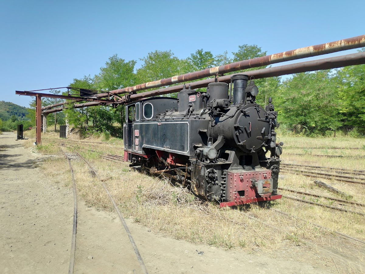 Mocănițele Apusenilor Criscior - Brad - foto 2