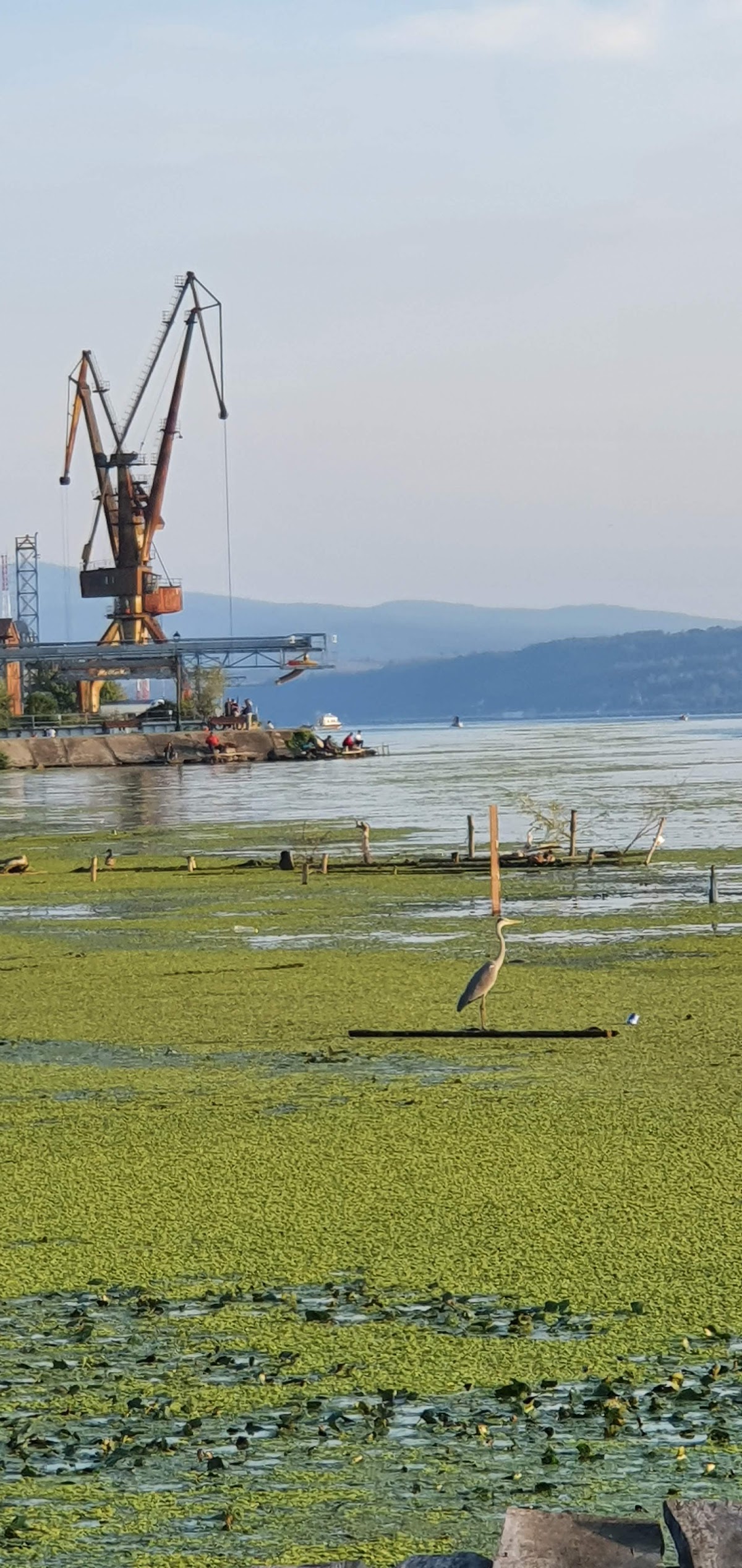 Moldova Veche - foto 3