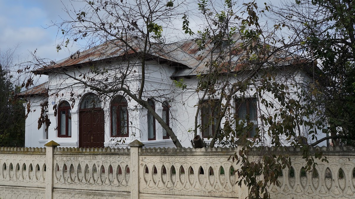 Moldoveni - foto 3
