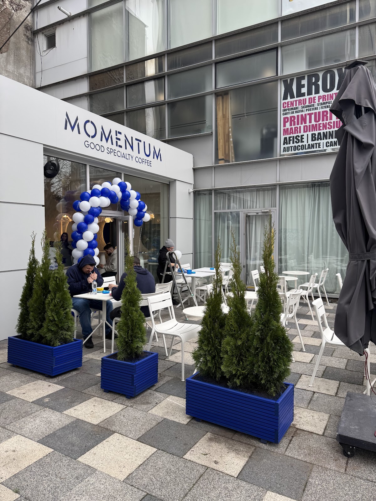 MOMENTUM GOOD SPECIALITY COFFEE