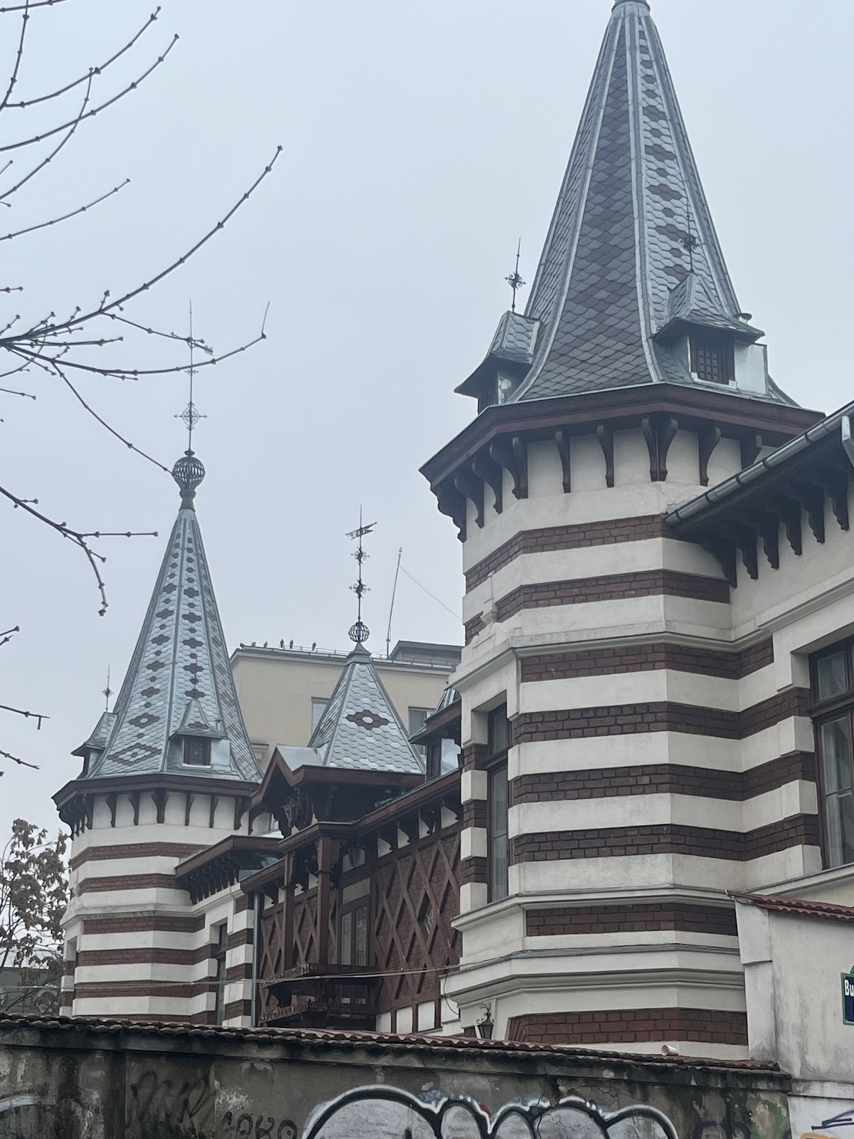 Monteoru Palace - foto 3