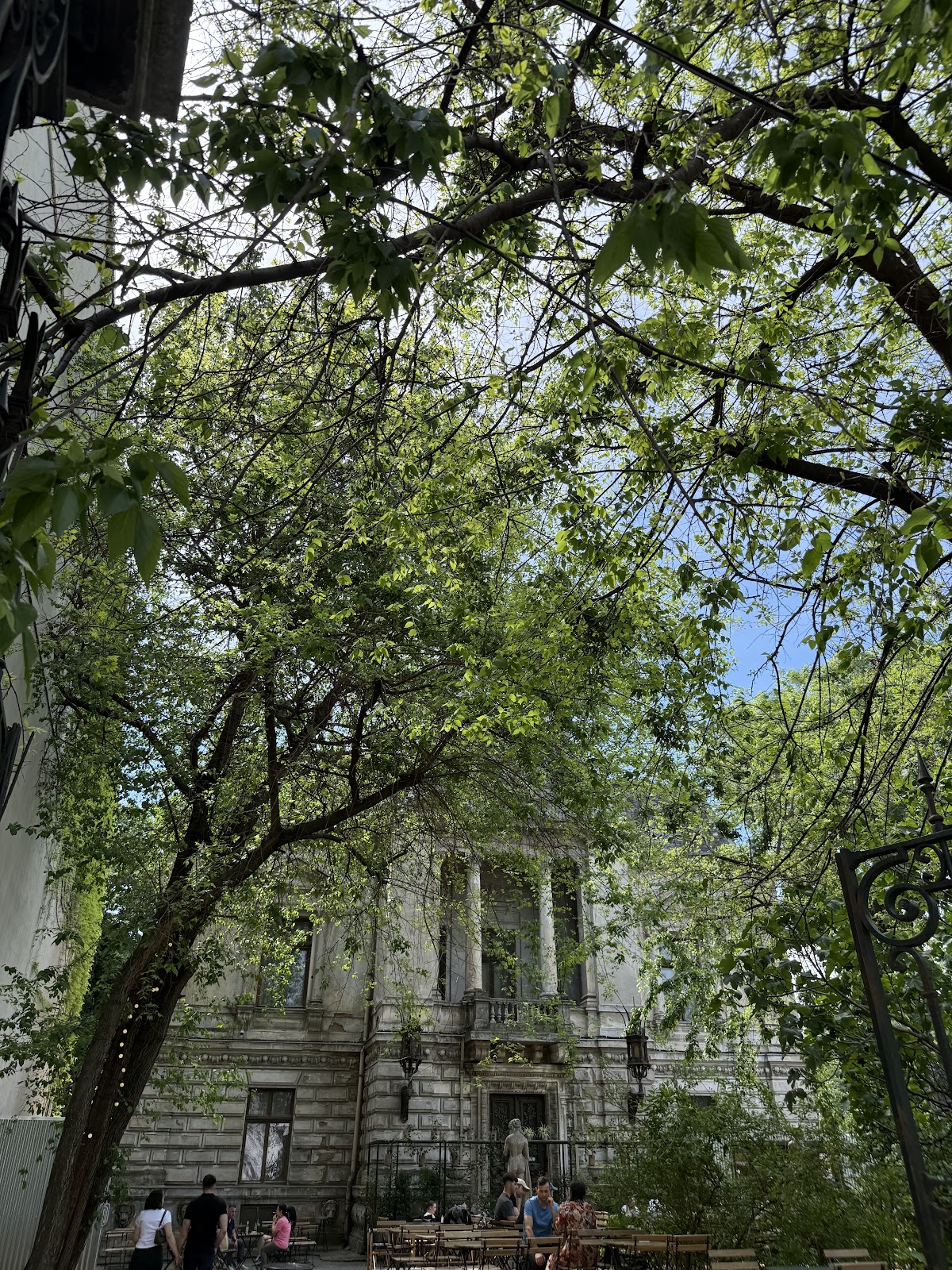 Monteoru Palace - foto 5