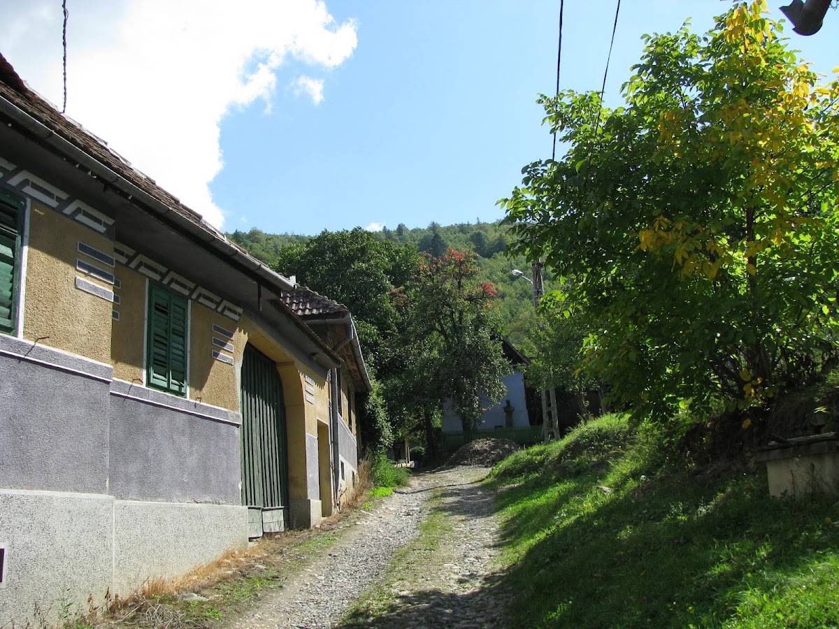 dr. Vasile Miclăuș Emlékmű - foto 4
