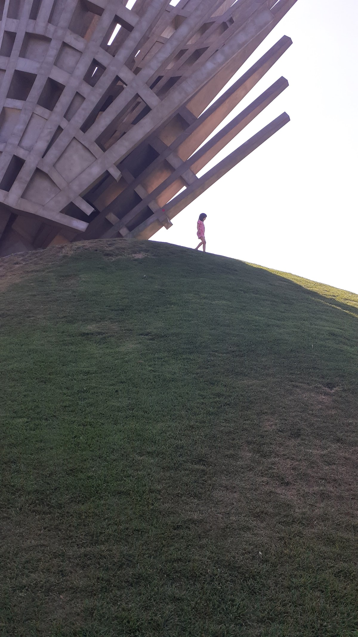 Monumentul Aripi - foto 5