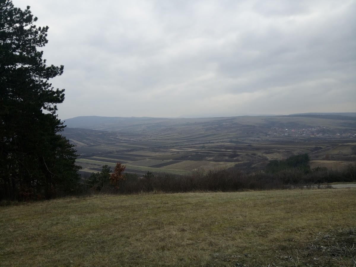 Monumentul de la Guruslău - foto 4
