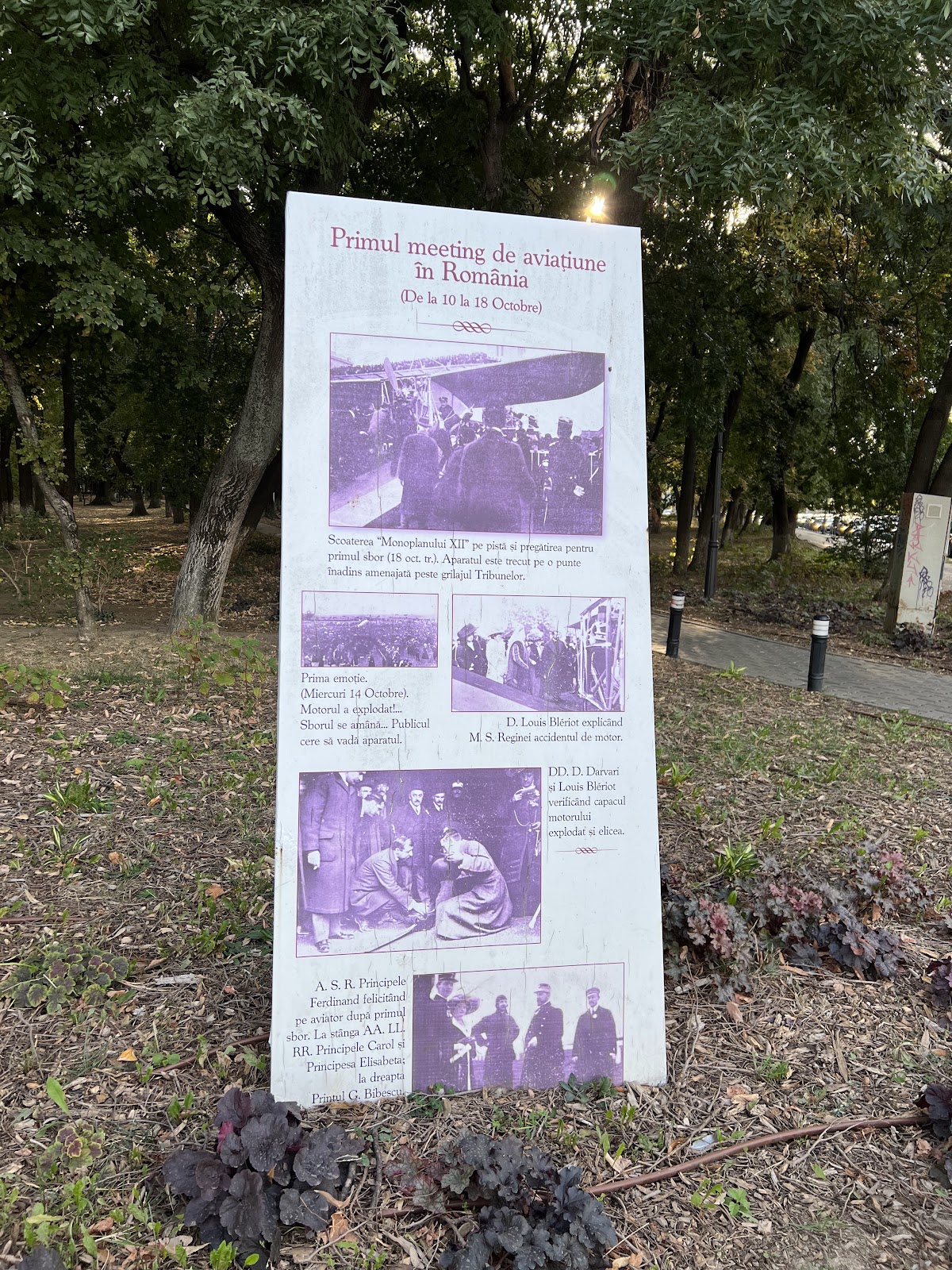 Monumentul "Eroilor Aerului" - foto 4