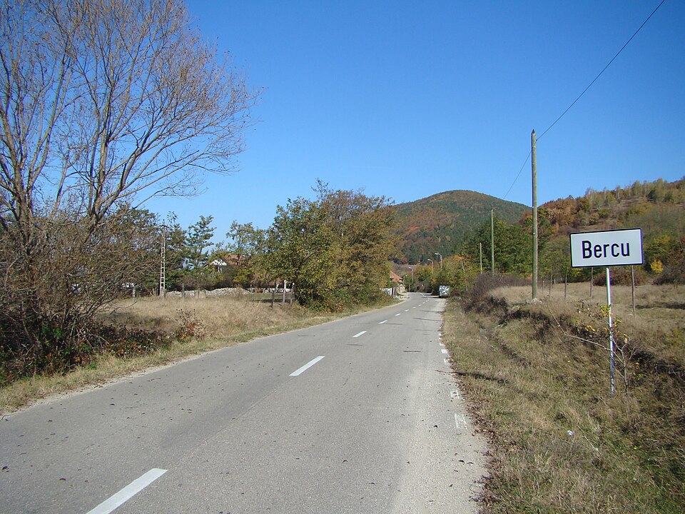 Monumentul eroilor Bercu, Bercu