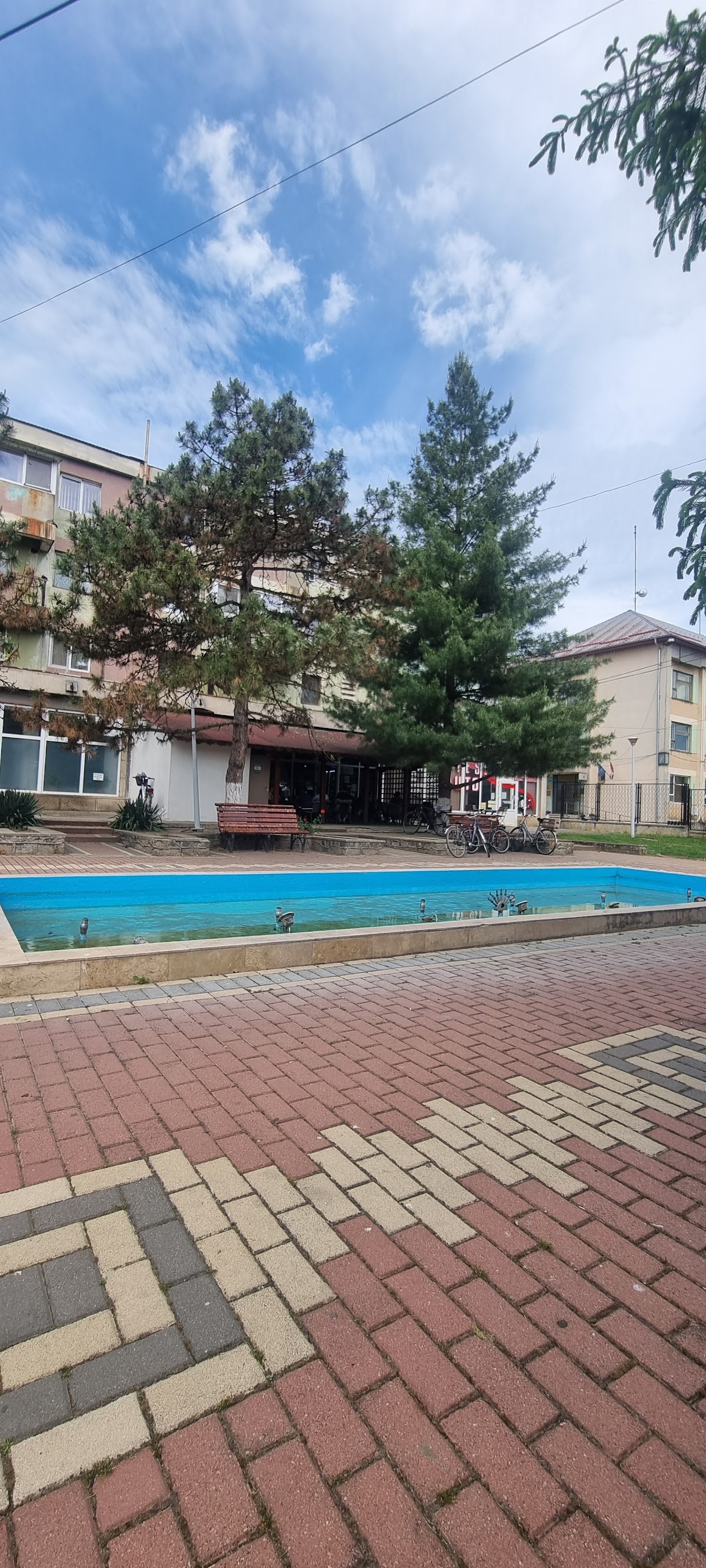 Gătaia Hőseinek Emlékműve - Timiș - foto 3