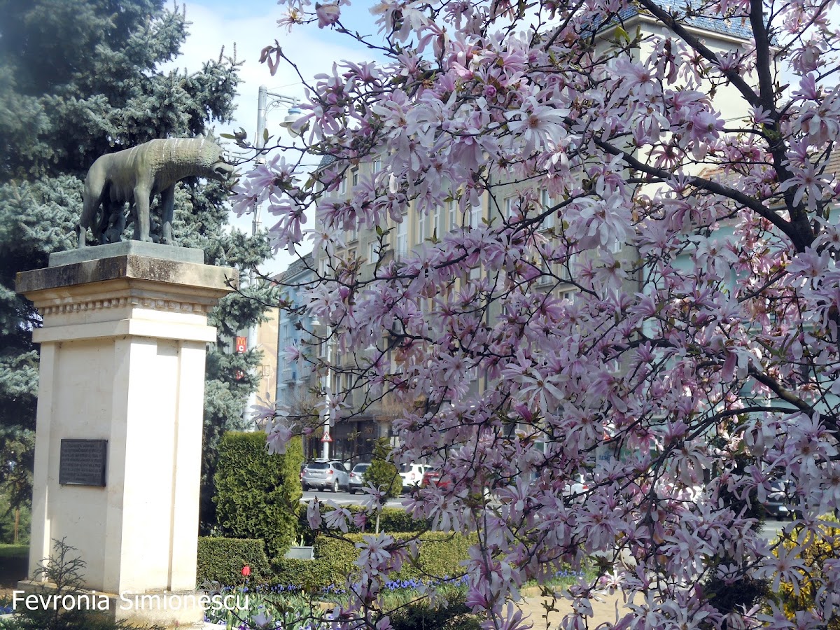 Monumentul Latinității - foto 5