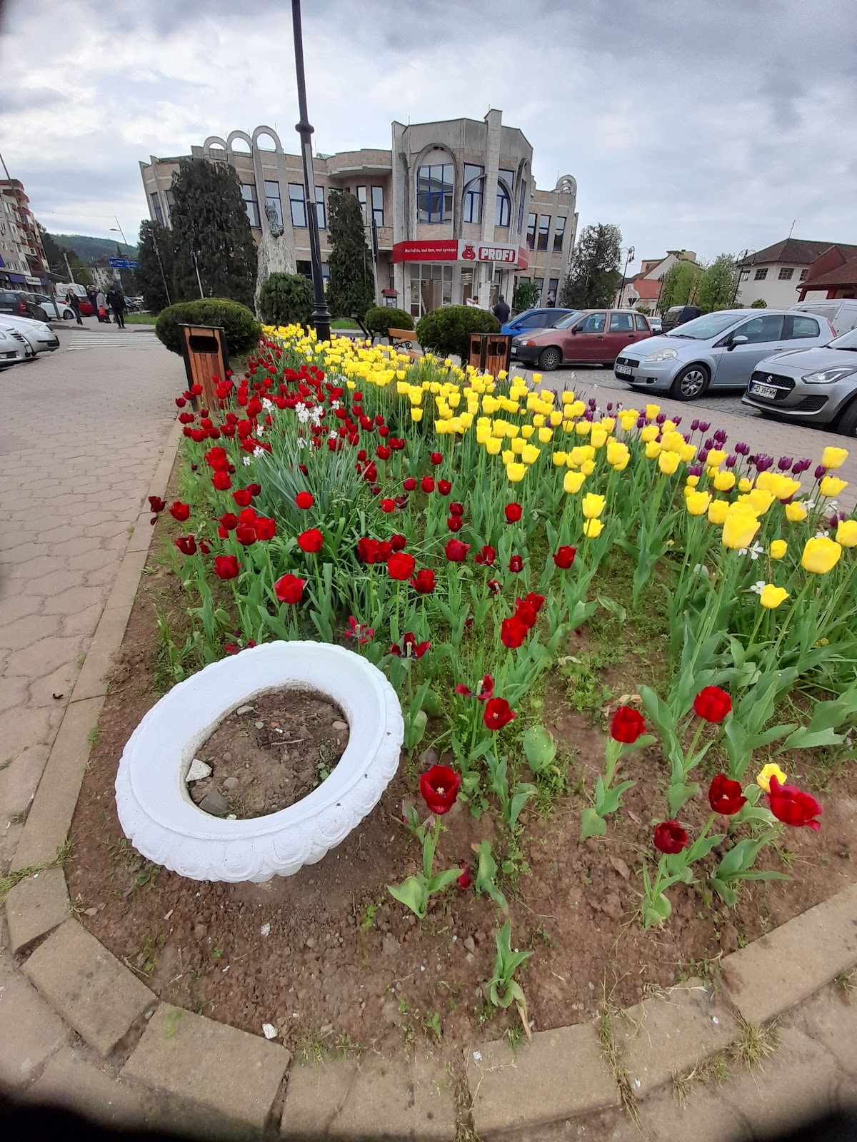 Monumentul Latinității Municipiul Brad - foto 4