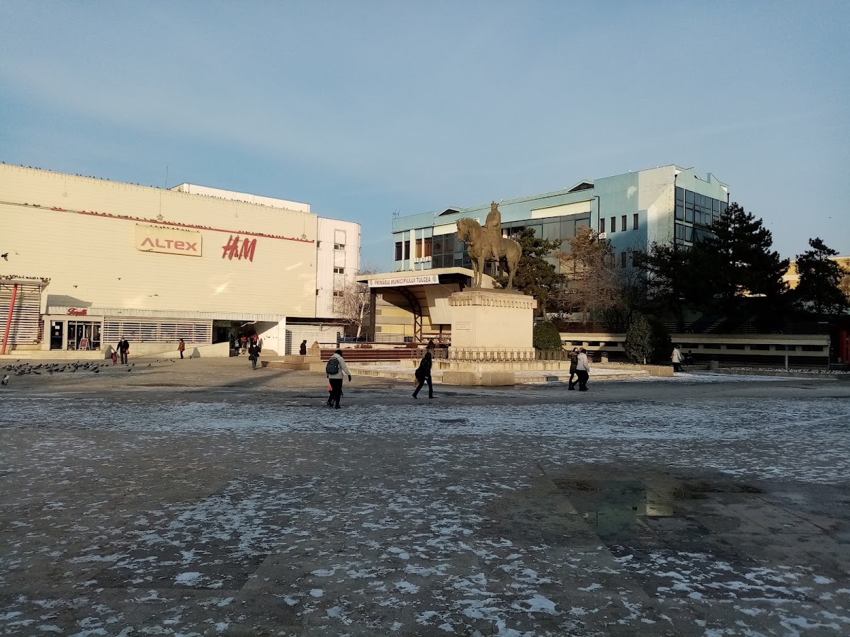 米尔恰老王纪念碑 - foto 4
