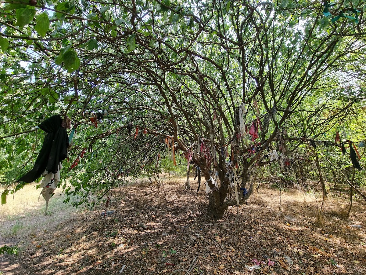 科尤恩·巴巴墓 - foto 3