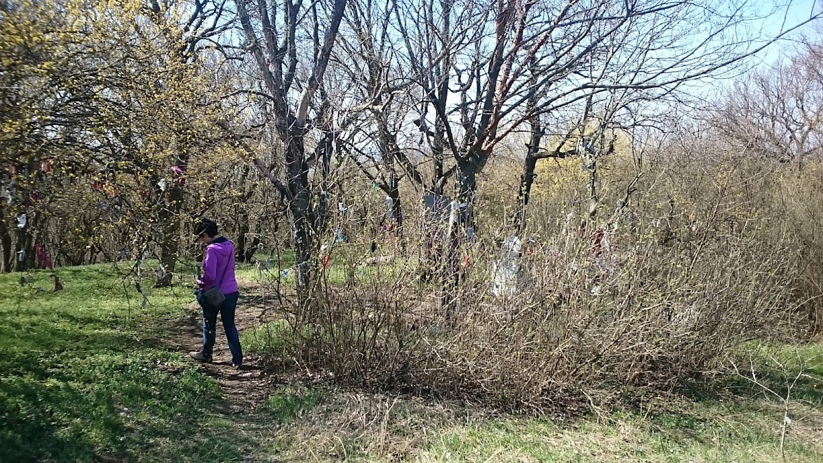 科尤恩·巴巴墓 - foto 5