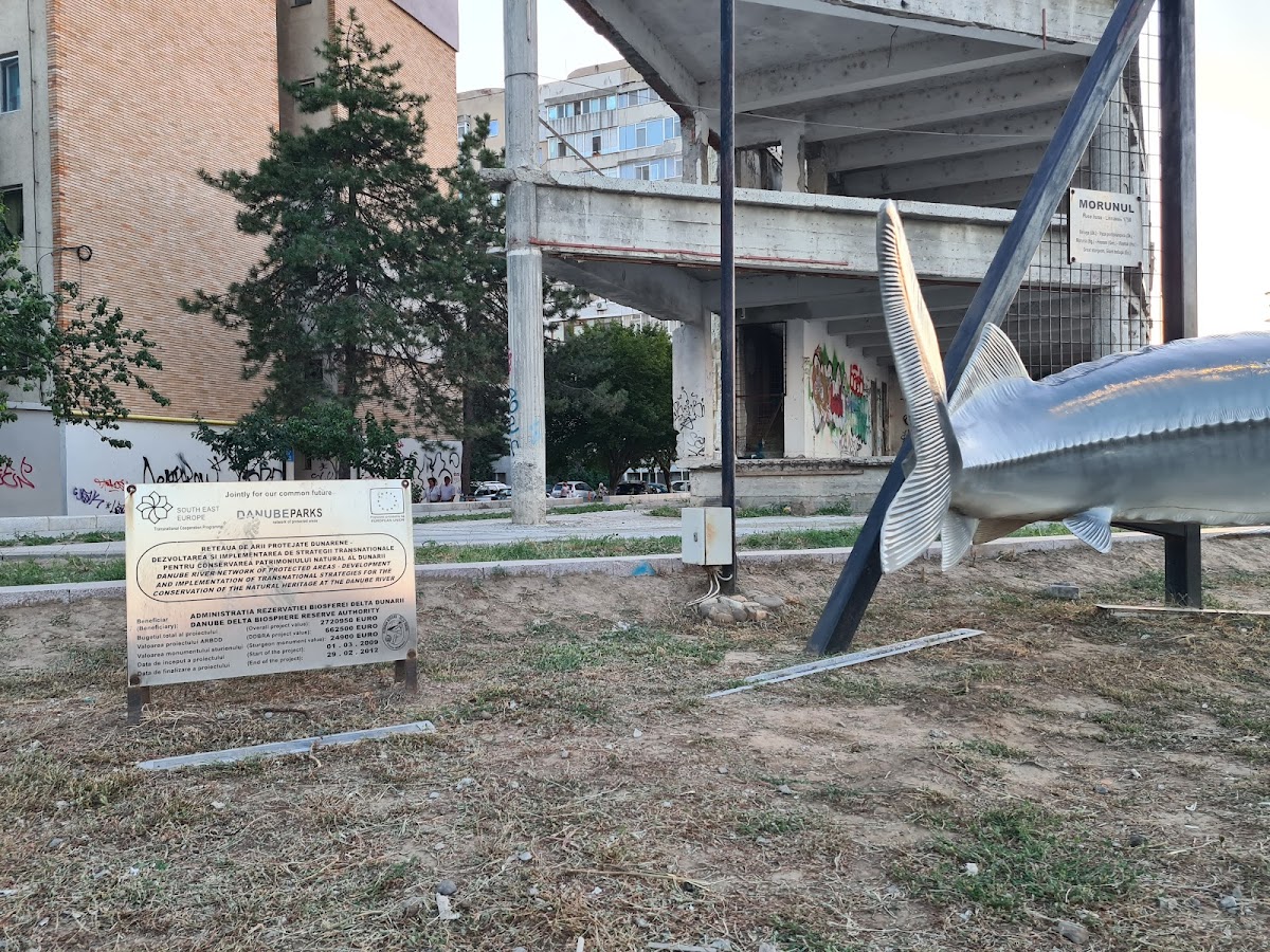 Morunul - foto 3