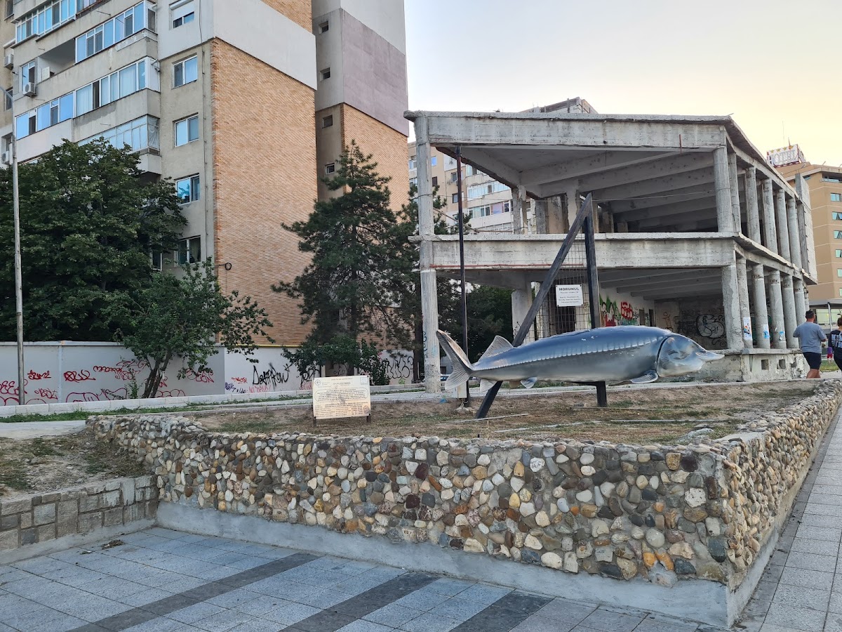 Morunul - foto 4