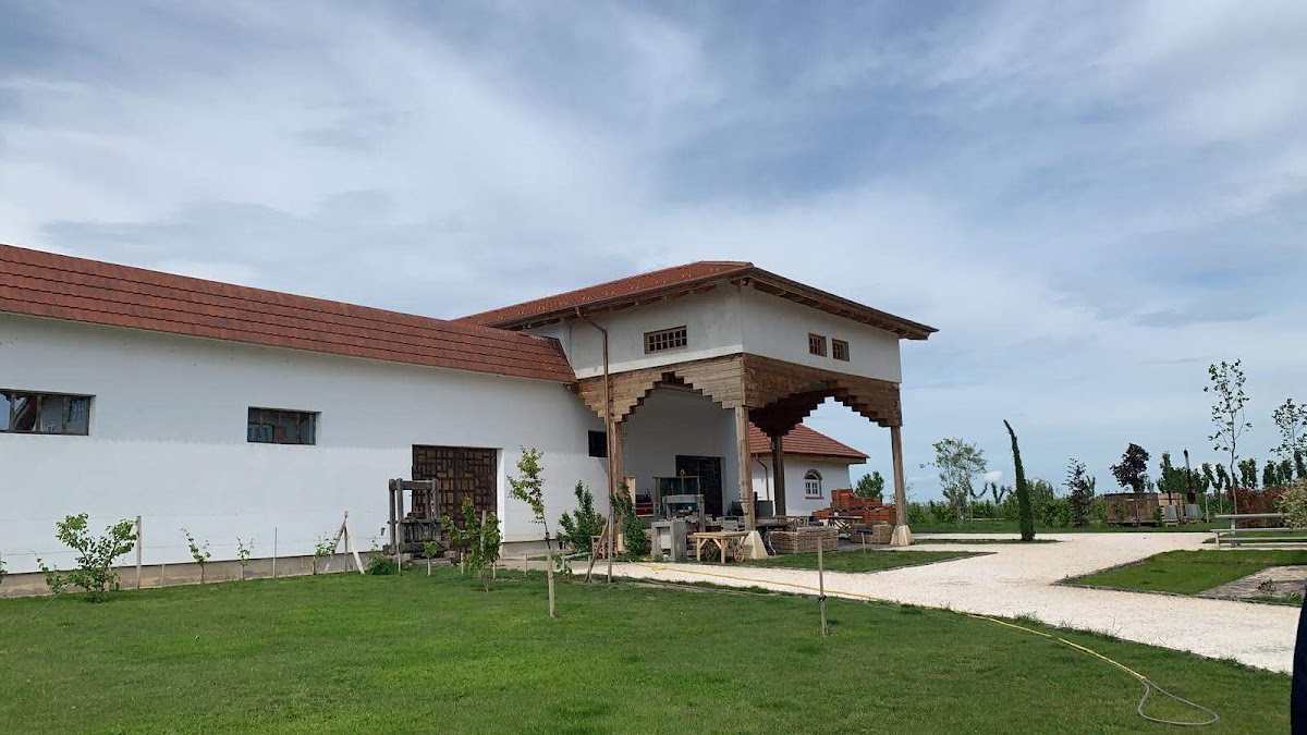 Mosia Galicea Mare - foto 3