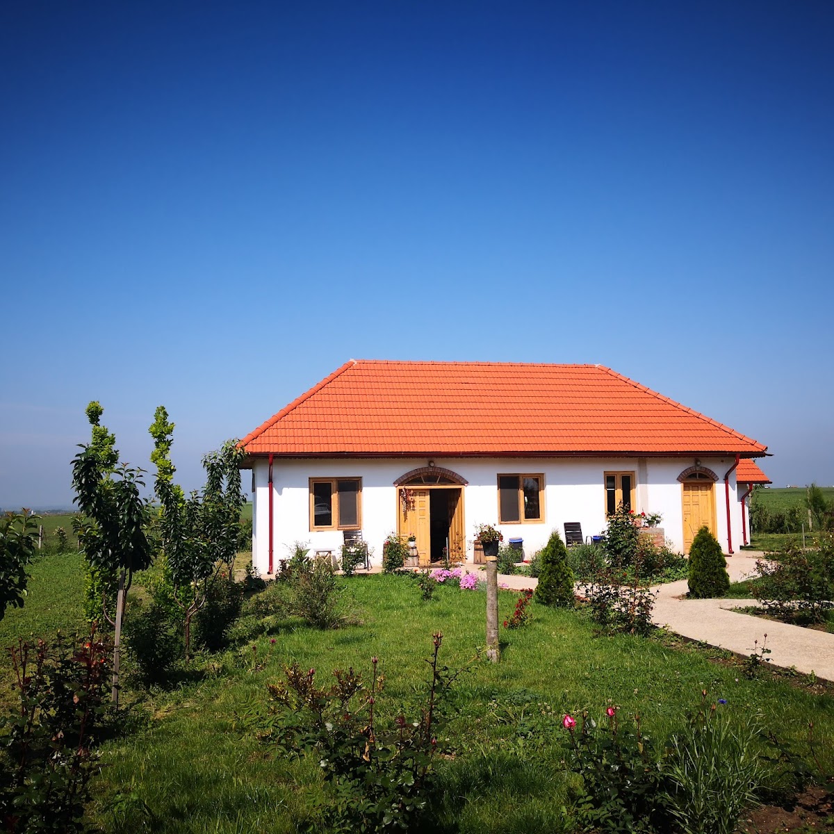 Mosia Galicea Mare - foto 4