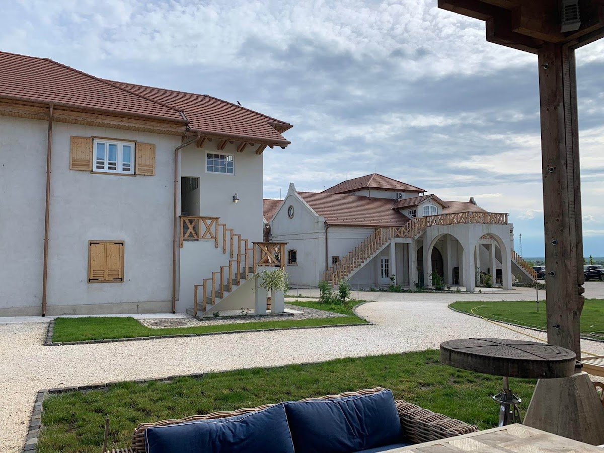 Mosia Galicea Mare - foto 5