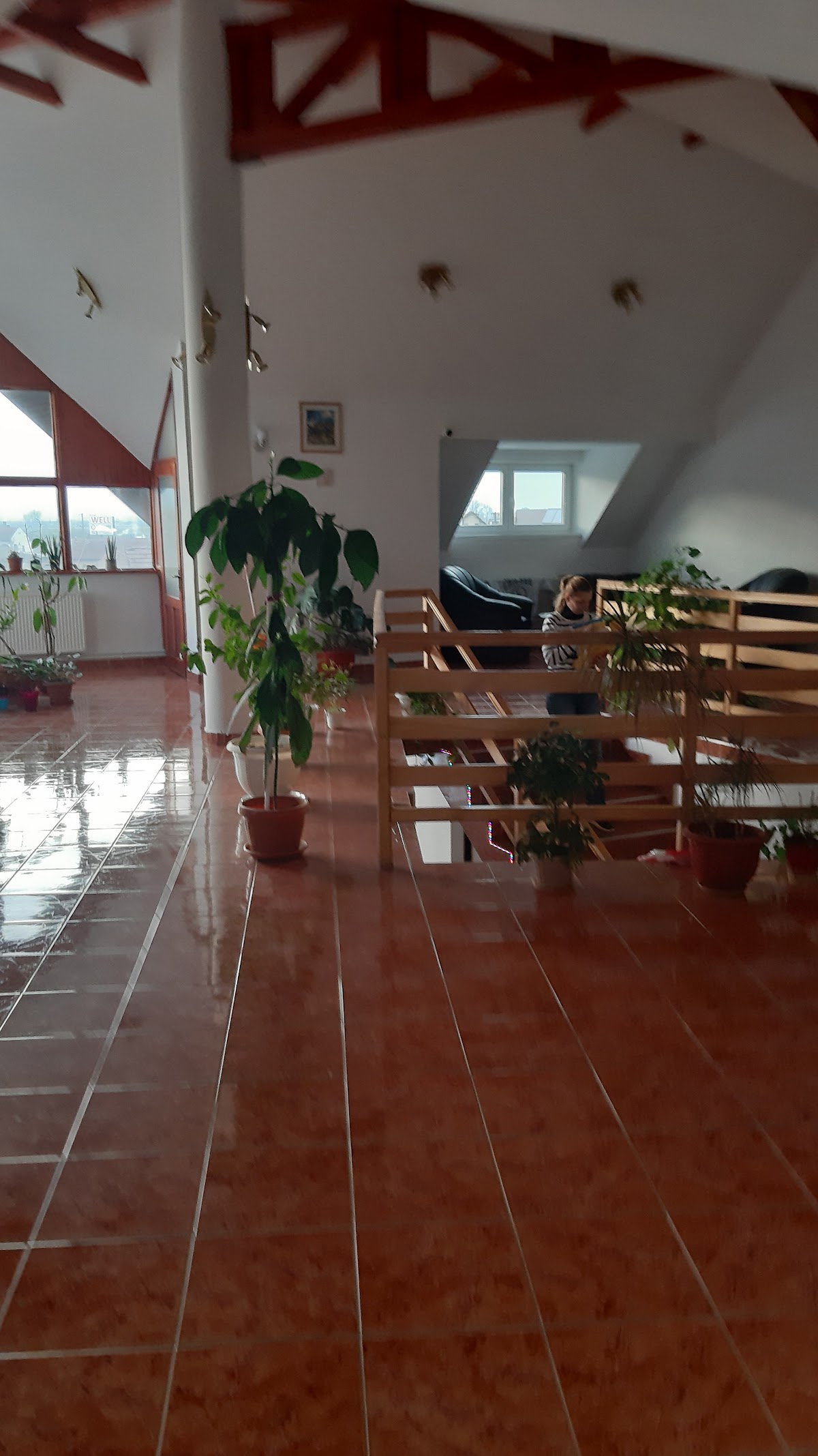 Motel Csillag