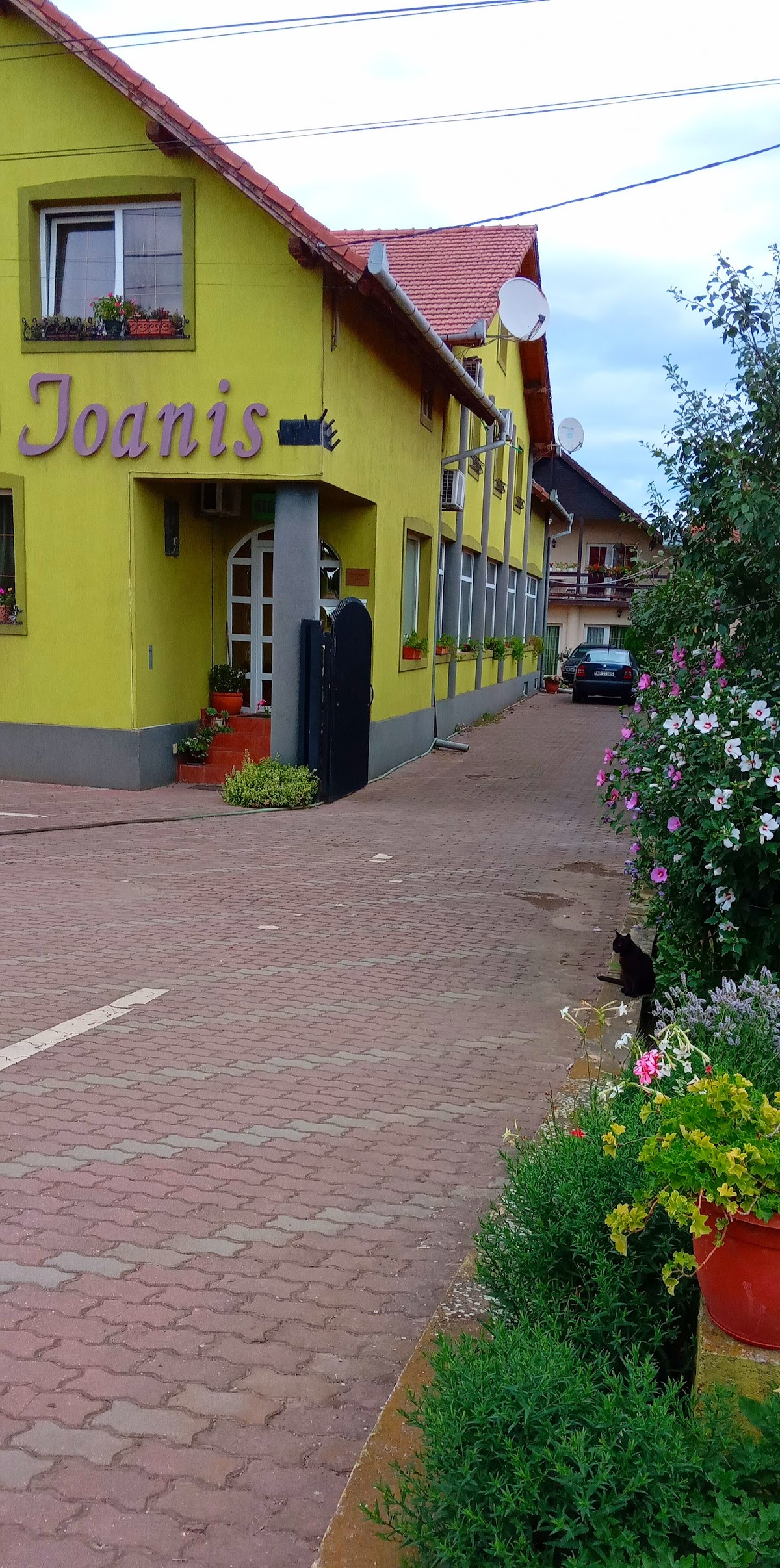 Motel Ioanis, Arad