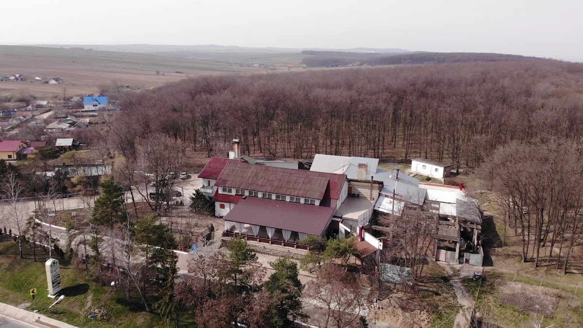 Motel Restaurant "Stejarul"